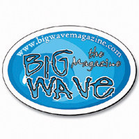 Magnets: Oval Magnets